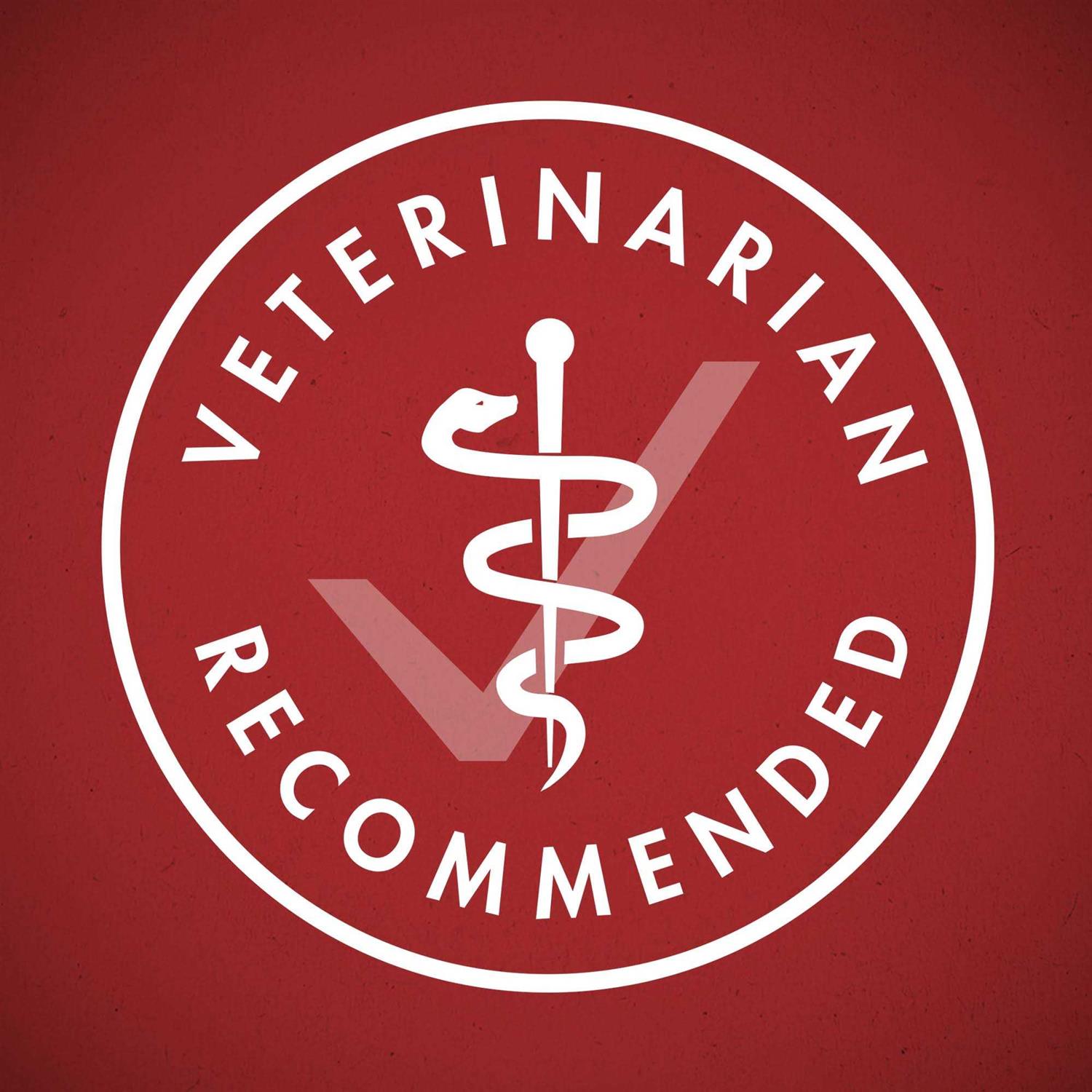 Purina ONE SmartBlend Classic Healthy Puppy Ground Lamb & Long Grain Rice Canned Dog Food - Pet Supplies online store