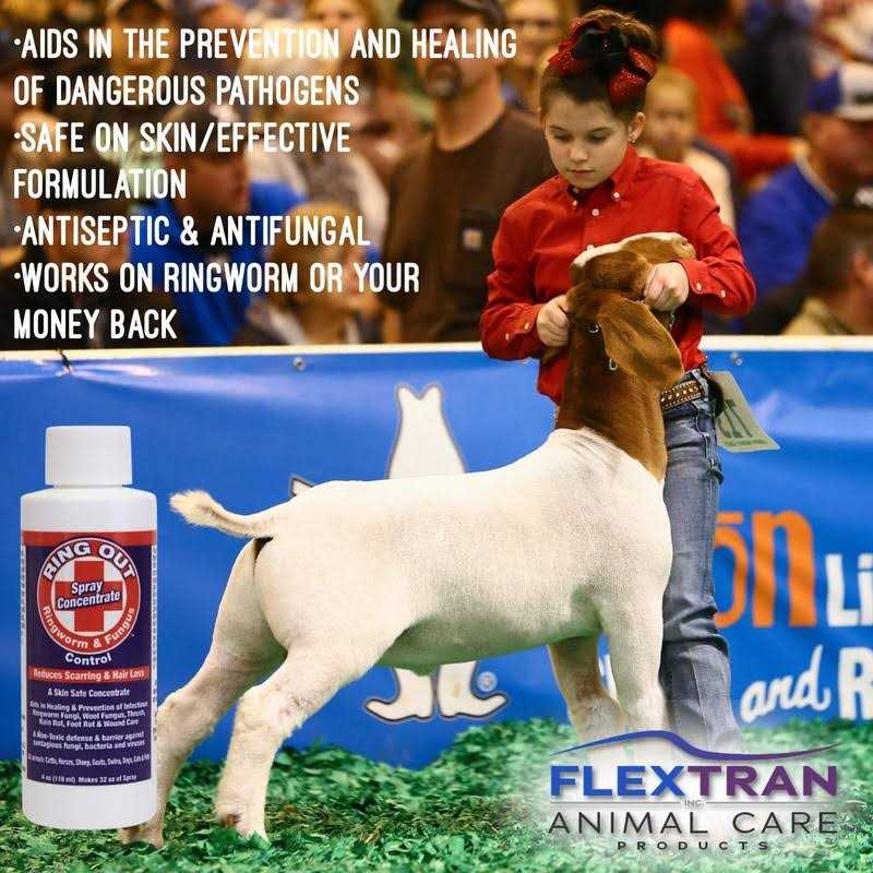 Weaver Ring Out - Pet Supplies online store