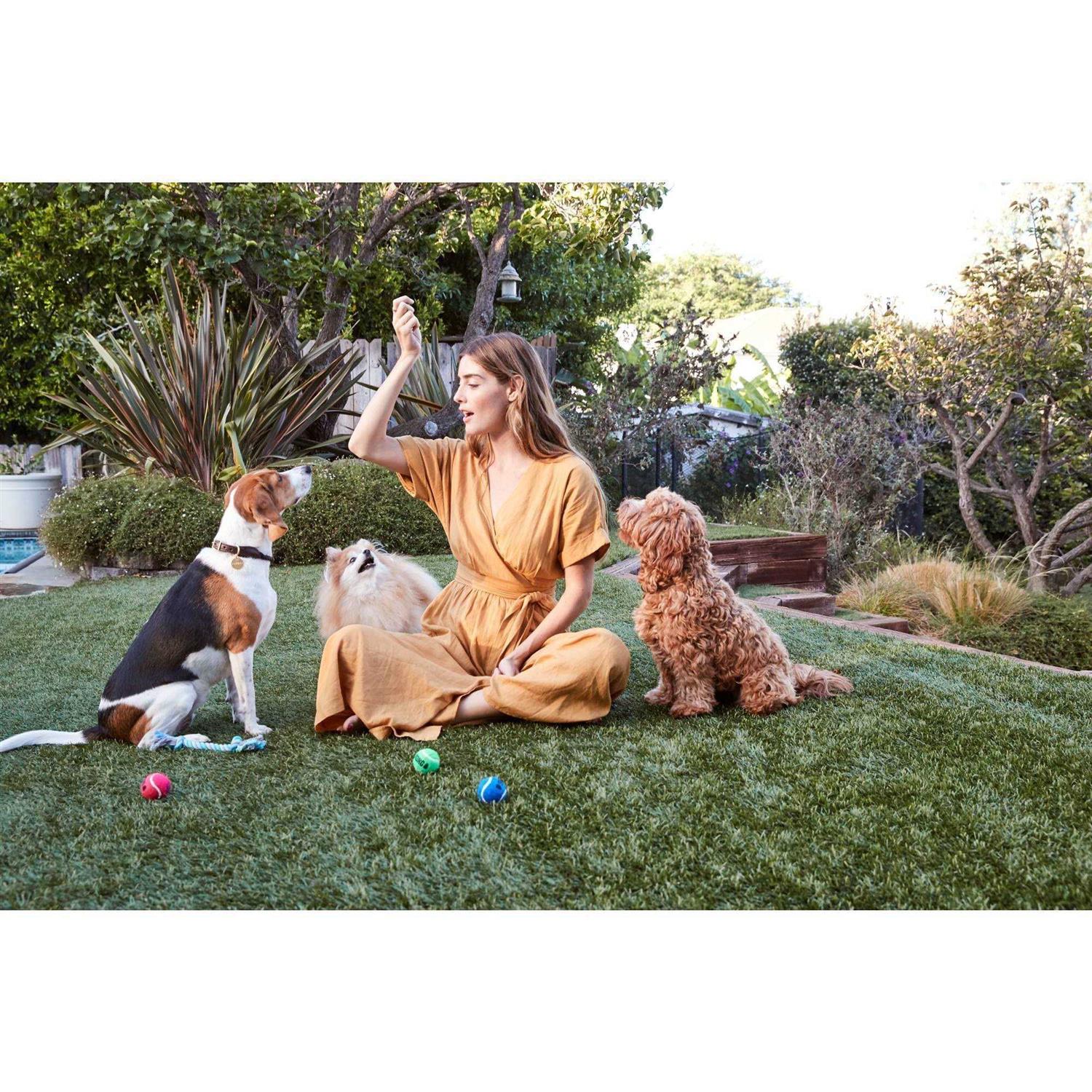 Full Moon Chicken Recipe Savory Sticks Dog Treats - Pet Supplies online store