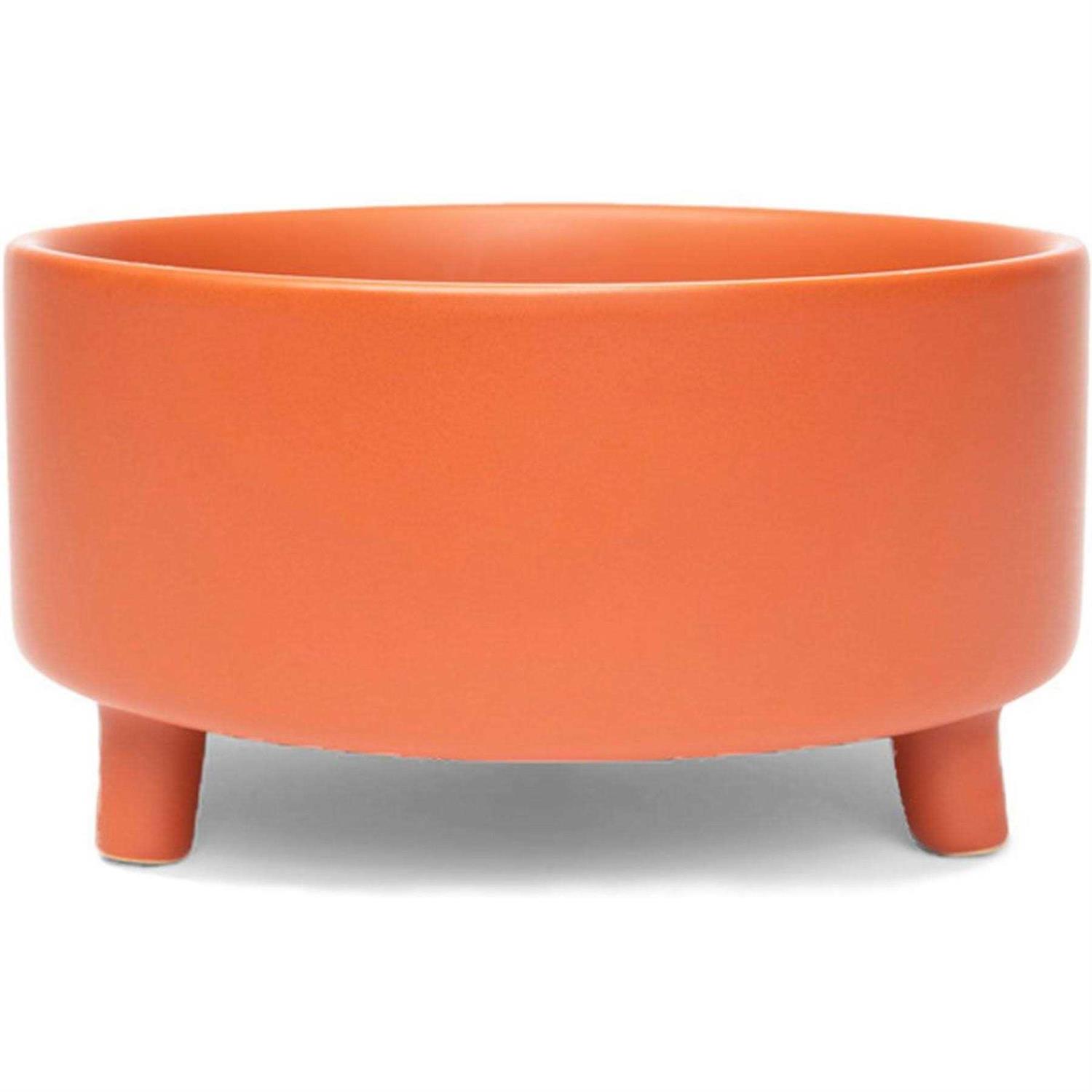 Waggo Uplift Ceramic Dog Bowl - Pet Supplies online store