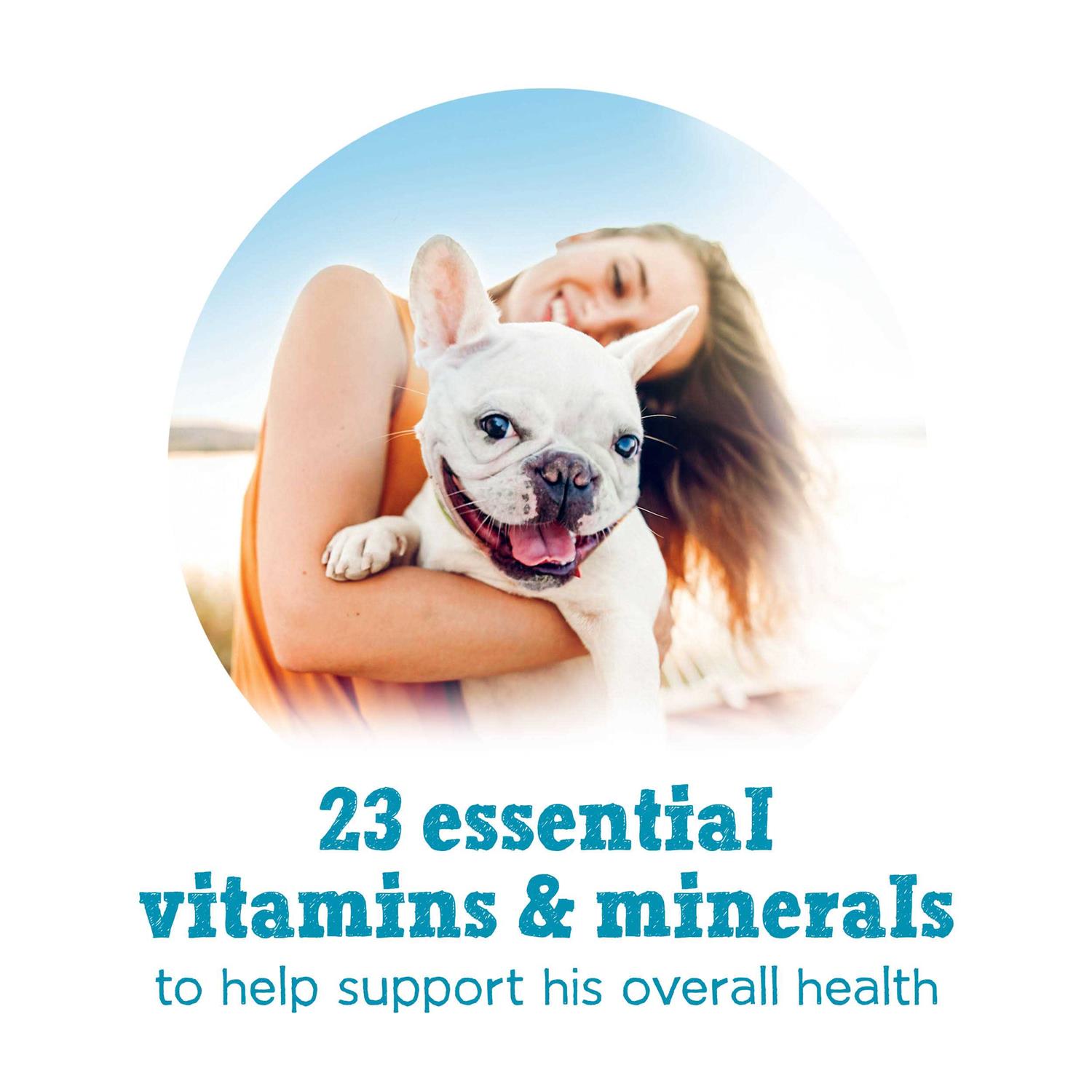 Purina Beneful Small Breed Wet Dog Food - Pet Supplies online store