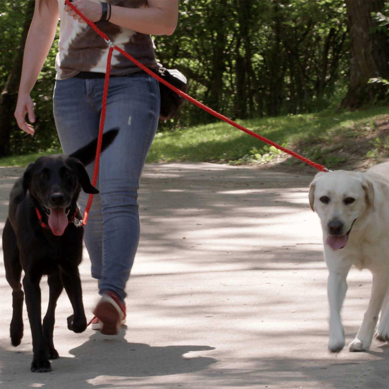 Caldwell's Pet supply co. Dual Dog Leash Double Dog Leash - Pet Supplies online store