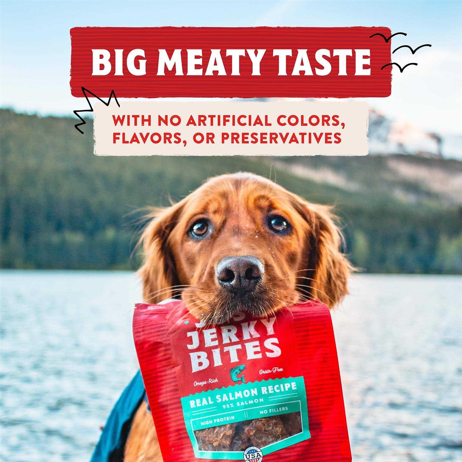 Stella & Chewy's Just Jerky Bites Dog Treats - Pet Supplies online store