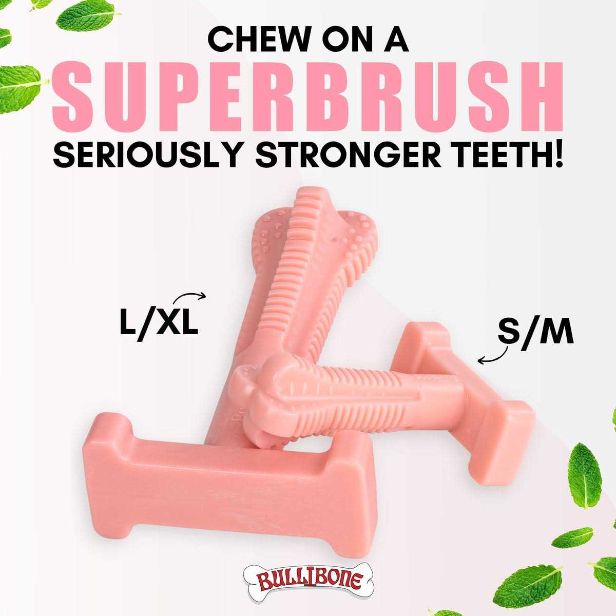 Bullibone SuperBrush Dog Teeth Cleaning Brushing Toothbrush Stick Long Lasting Nylon Chew Toy for Oral Care - Pet Supplies online store