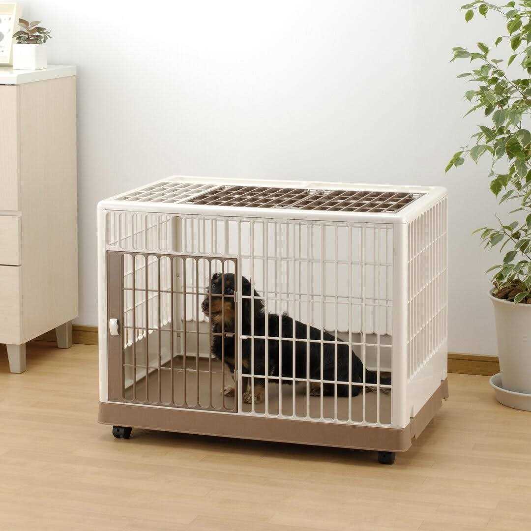 Richell Pet Training Kennel - Pet Supplies online store