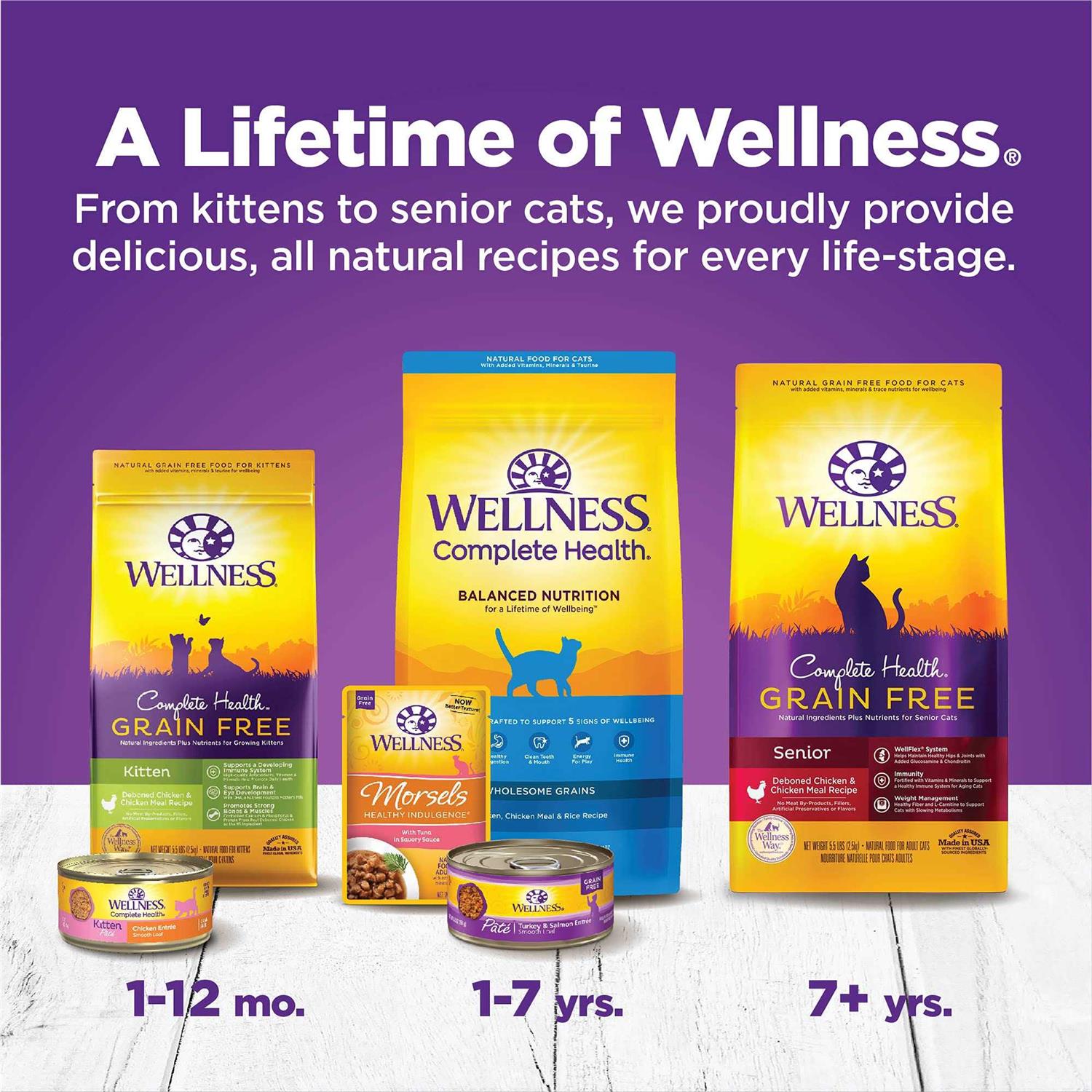 Wellness Complete Health Kitten Canned Wet Cat Food - Pet Supplies online store