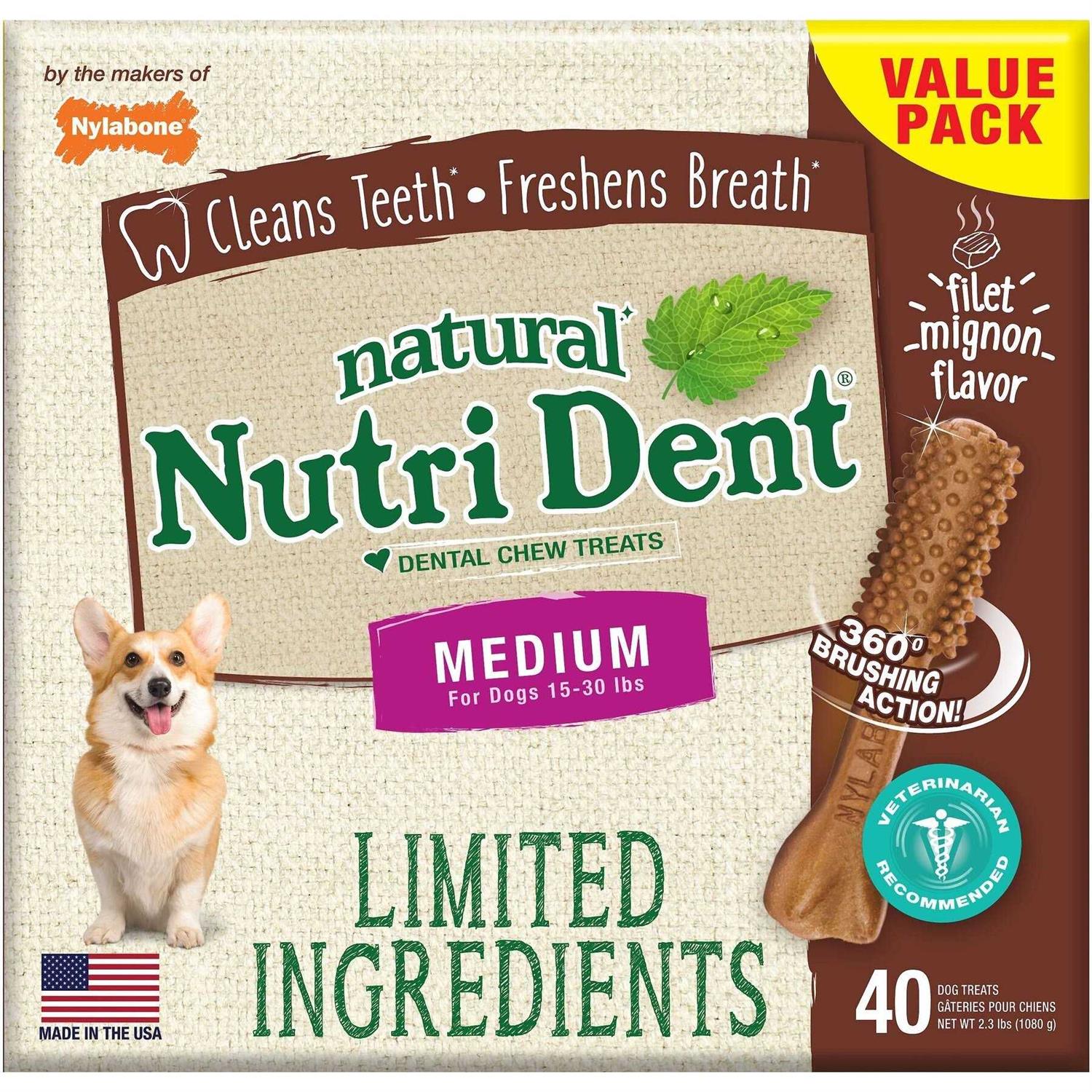 Nylabone Nutri Dent Dental Chews Filet Mignon - Pet Supplies online store