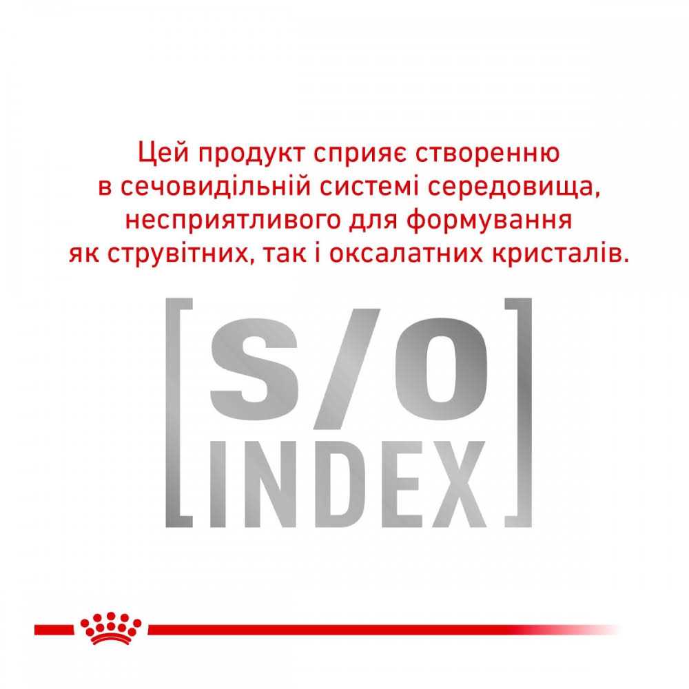 Royal Canin Urinary Small Dog Food - Pet Supplies online store