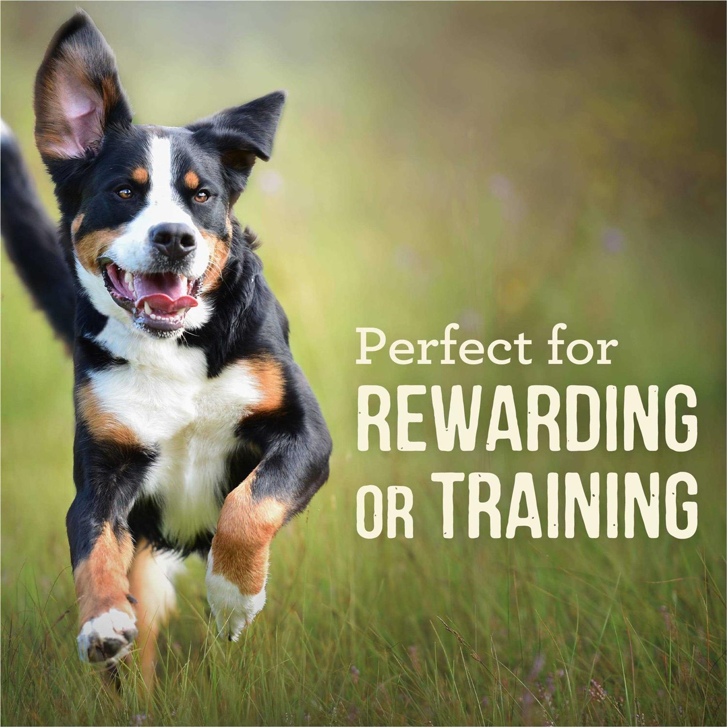 Merrick Power Bites Chicken Dog Treats - Pet Supplies online store