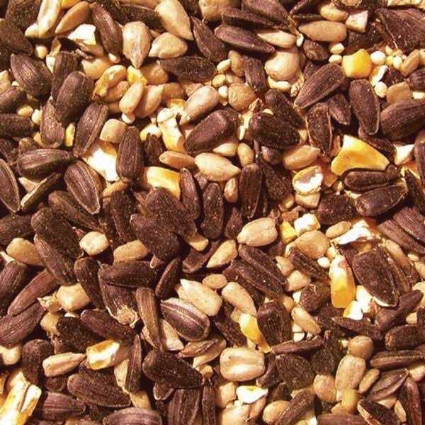 Cole's BH05 Blazing Hot Blend Bird Seed - Pet Supplies online store