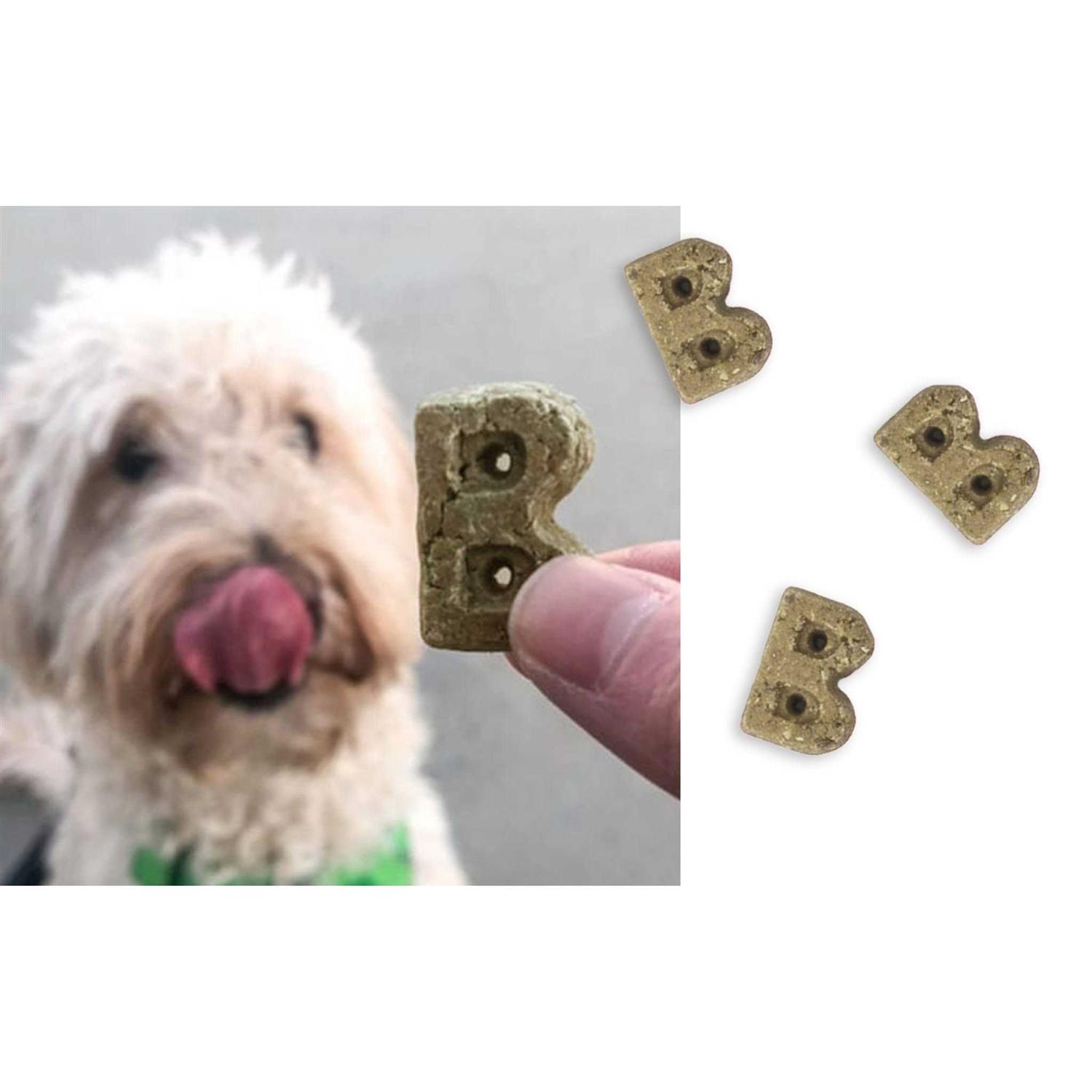 Bocce's Bakery Brushy Bites Soft & Chewy Dog Treats - Pet Supplies online store
