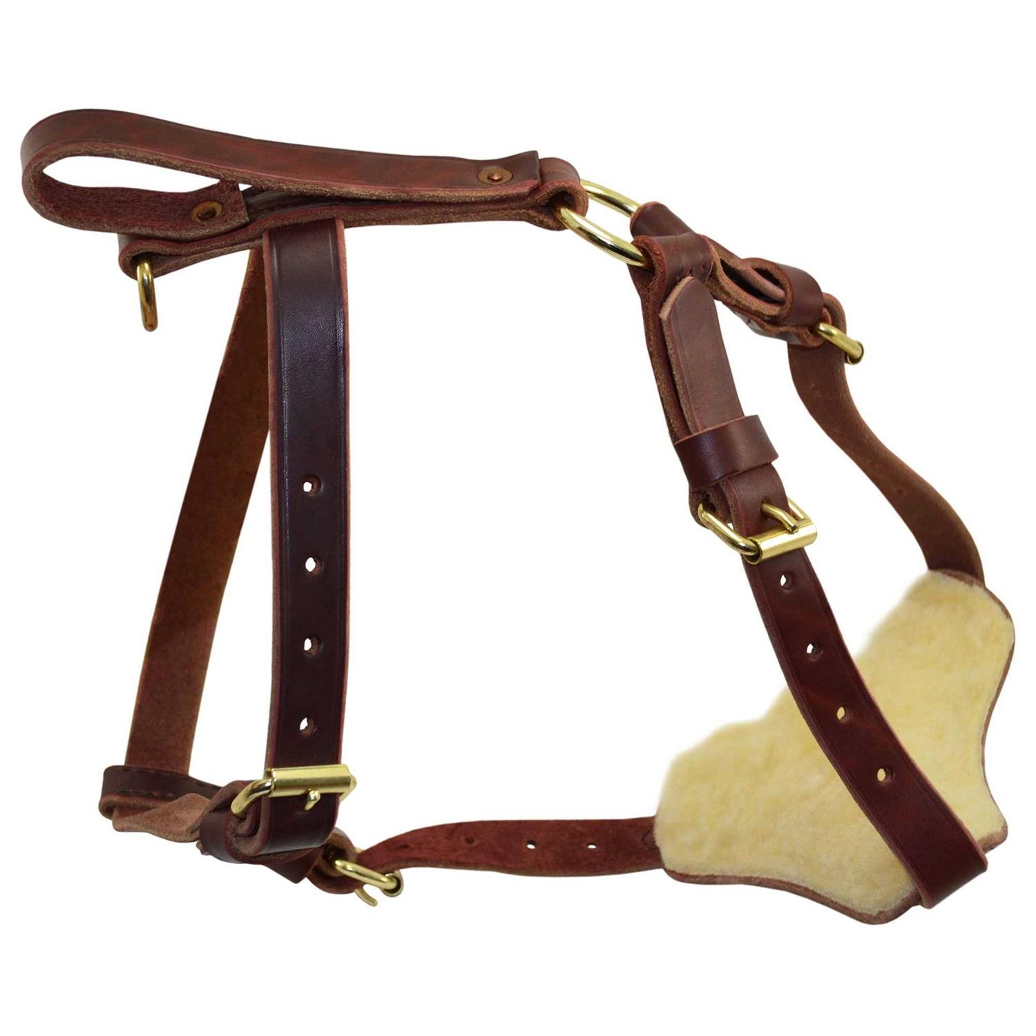 Signature k-9 Leather Tracking Harness - Pet Supplies online store