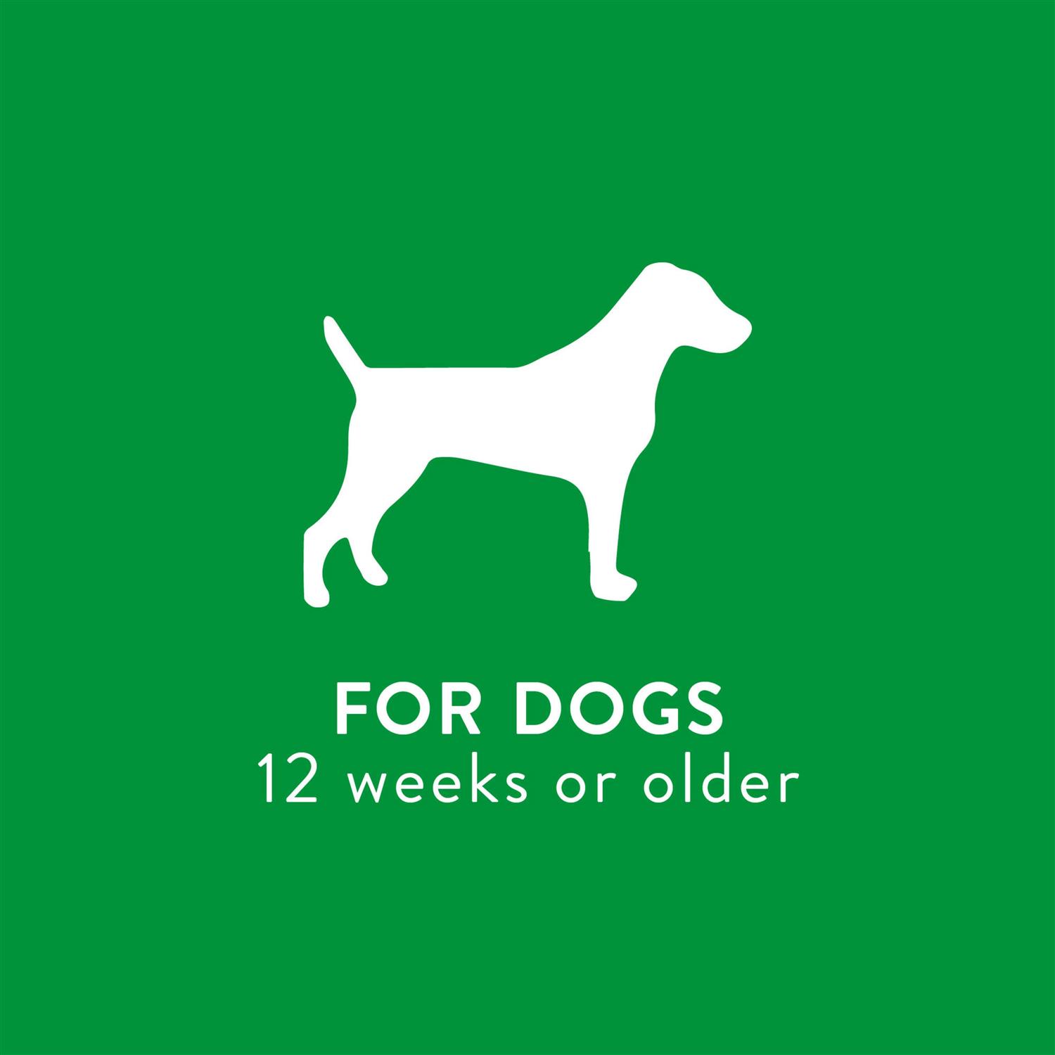 Tropiclean Waterless Shampoo Deep Cleaning - Pet Supplies online store