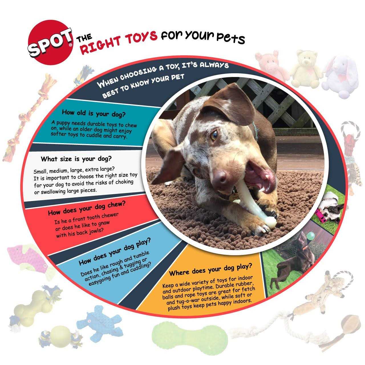 Spot Play Strong Ball with Rope - Pet Supplies online store