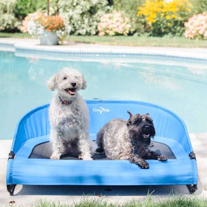 Gen7Pets Trailblazer Cool-Air Cot - Pet Supplies online store