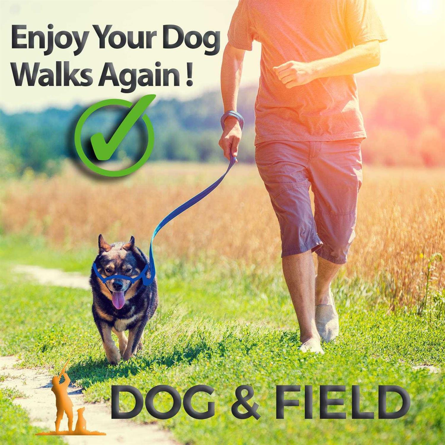 Dog & Field Figure 8 Anti Pull LeashHalterHead collar One Size Fits All - Pet Supplies online store