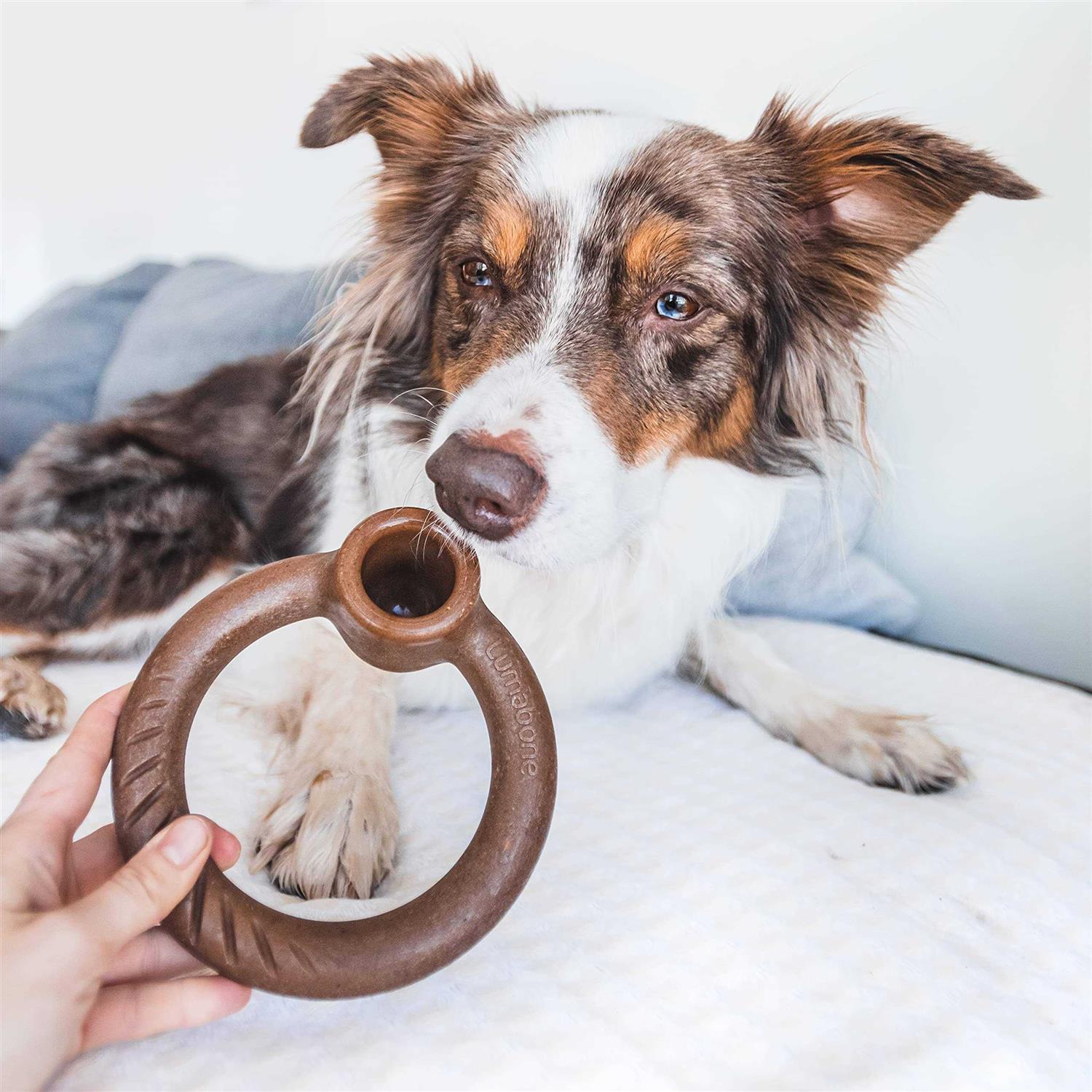 Lumabone Ring Stuffer Durable Chew Toy for Aggressive Chewers - Pet Supplies online store