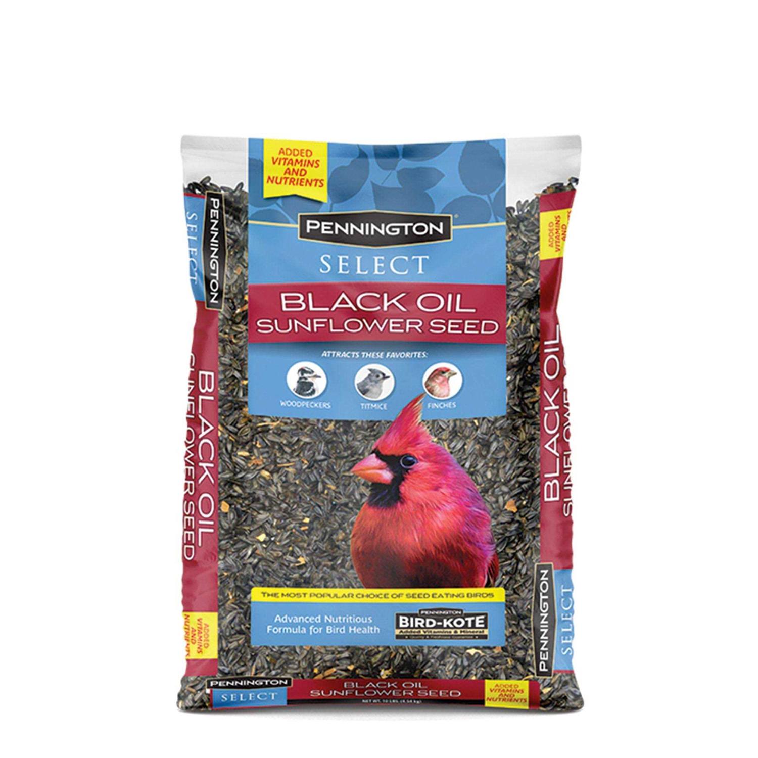Pennington Select Black Oil Sunflower Seed Wild Bird Feed - Pet Supplies online store