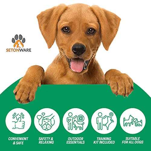 Setonware Puppy Starter Kit Dog Toys Dog Bed Blankets Puppy Dog Grooming Tool - Pet Supplies online store