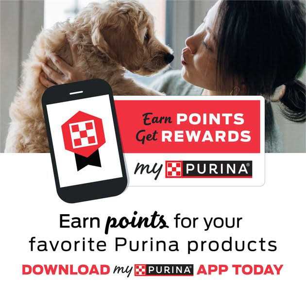 Purina Dog Chow High Protein Dry Dog Food With Real Lamb & Beef Flavor - Pet Supplies online store