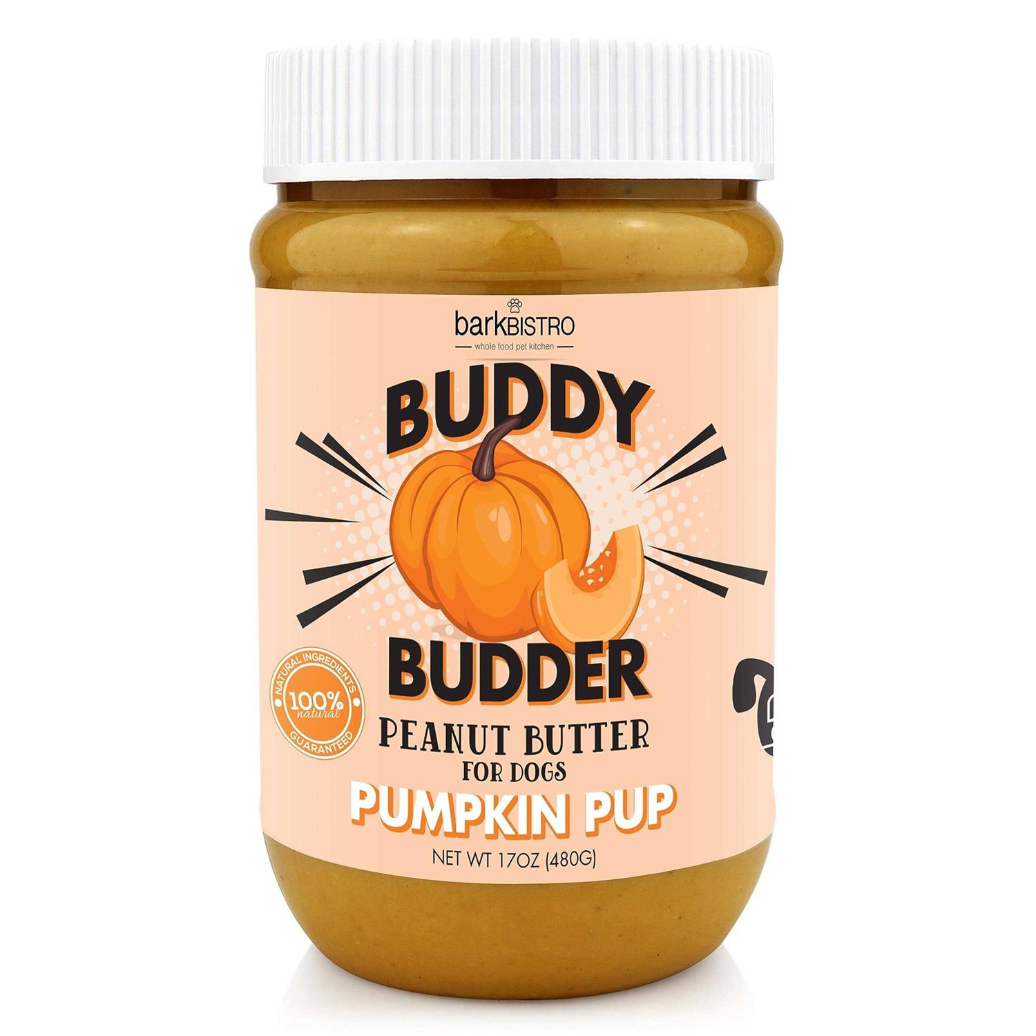 Bark Bistro Pumpkin Pup Buddy Budder - Pet Supplies online store