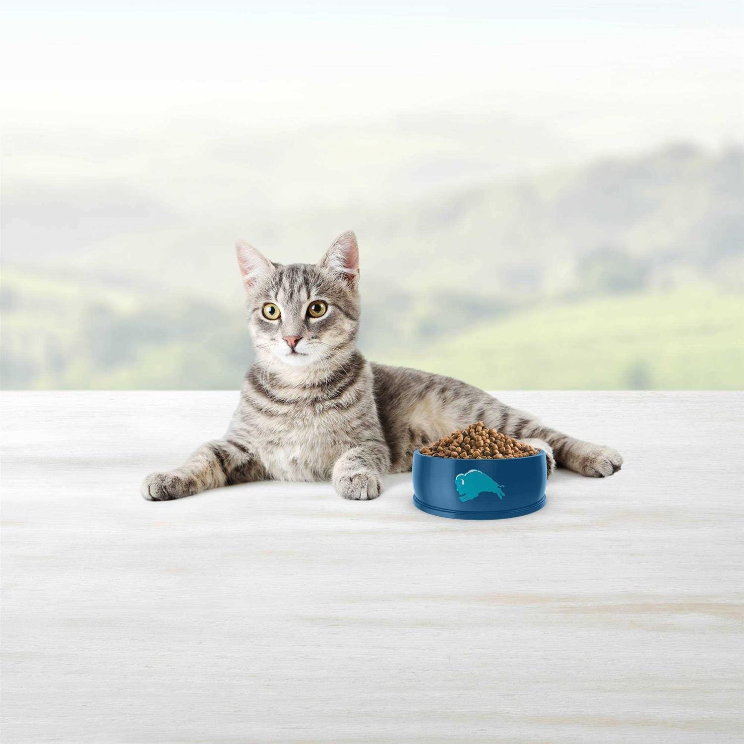 Blue Indoor Hairball Control Adult Dry Cat Food - Pet Supplies online store