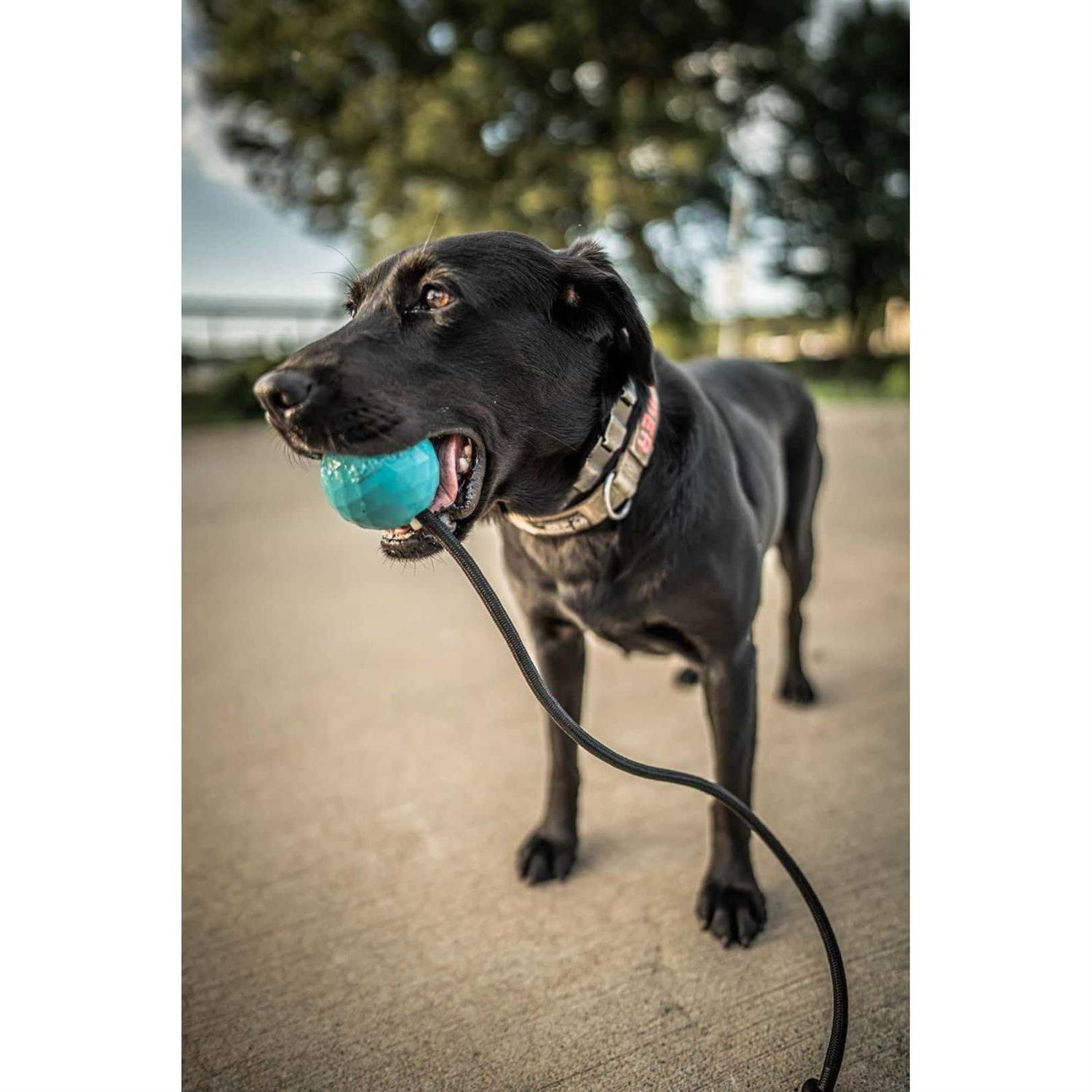 K9 Ops Dog Ball on a Rope moki Tug Toy Solid Rubber Fetch Training Reward - Pet Supplies online store