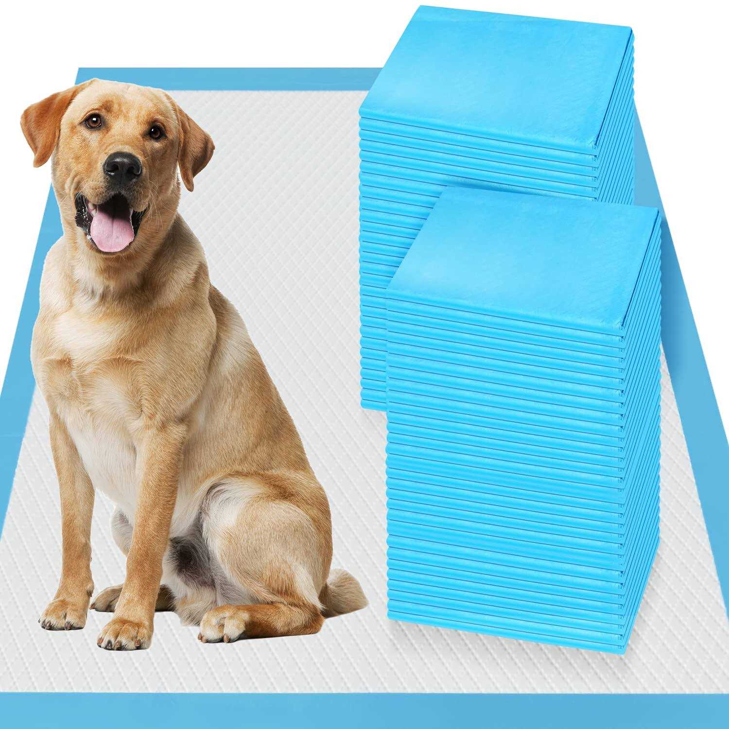 Boscute Thicken 6 Layers Heavy Absorbent XXL 30x36 Pet Training Dog Pee Pads - Pet Supplies online store