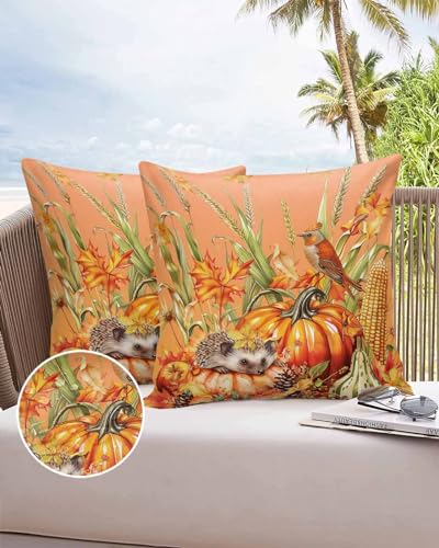 Outdoor Pillow Covers Waterproof, Thanksgiving Pumpkins Throw Pillowcase Decorative Cover, Autumn Animals Harvest Wooden Garden Cushion Case Set of 2 for Sofa, Couch, Tent, Patio, 16