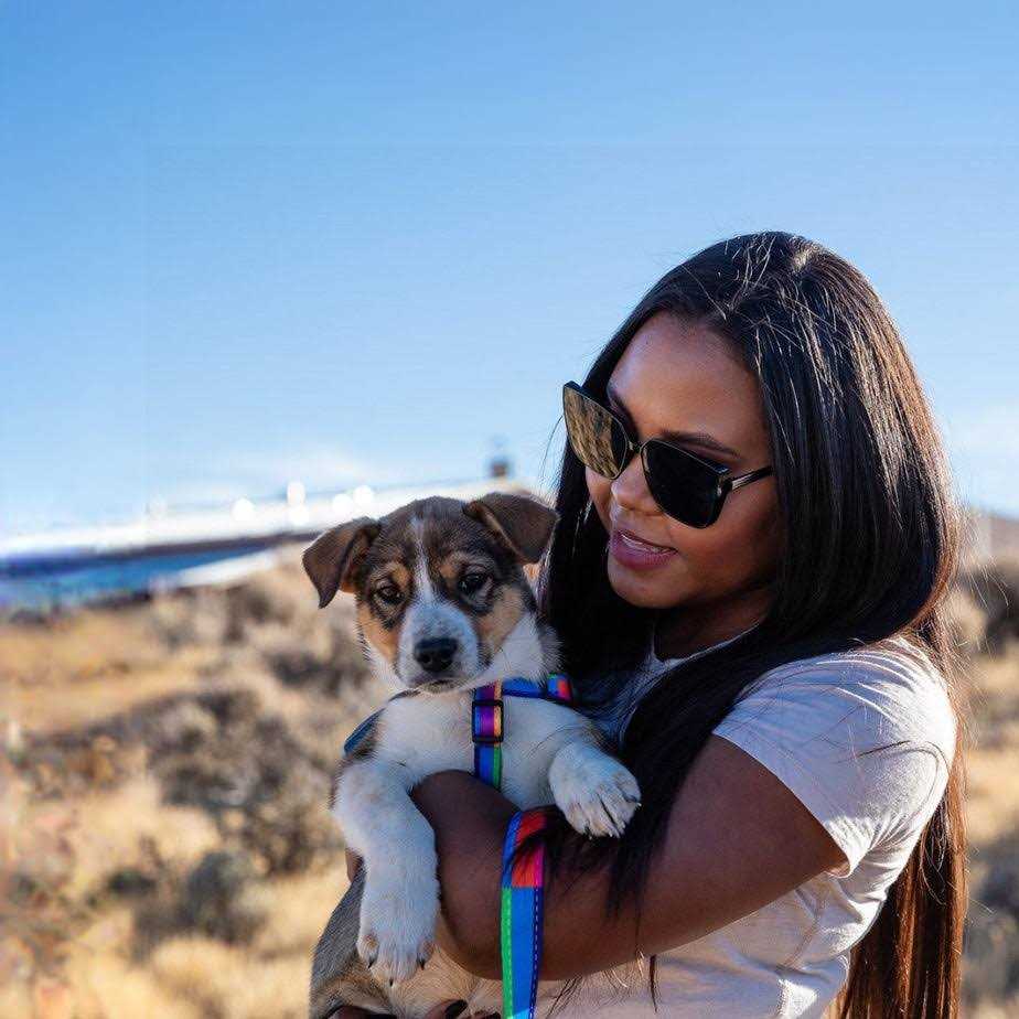 Wolfgang Man and Beast GoodDog COMFORT DOG HARNESS - Pet Supplies online store