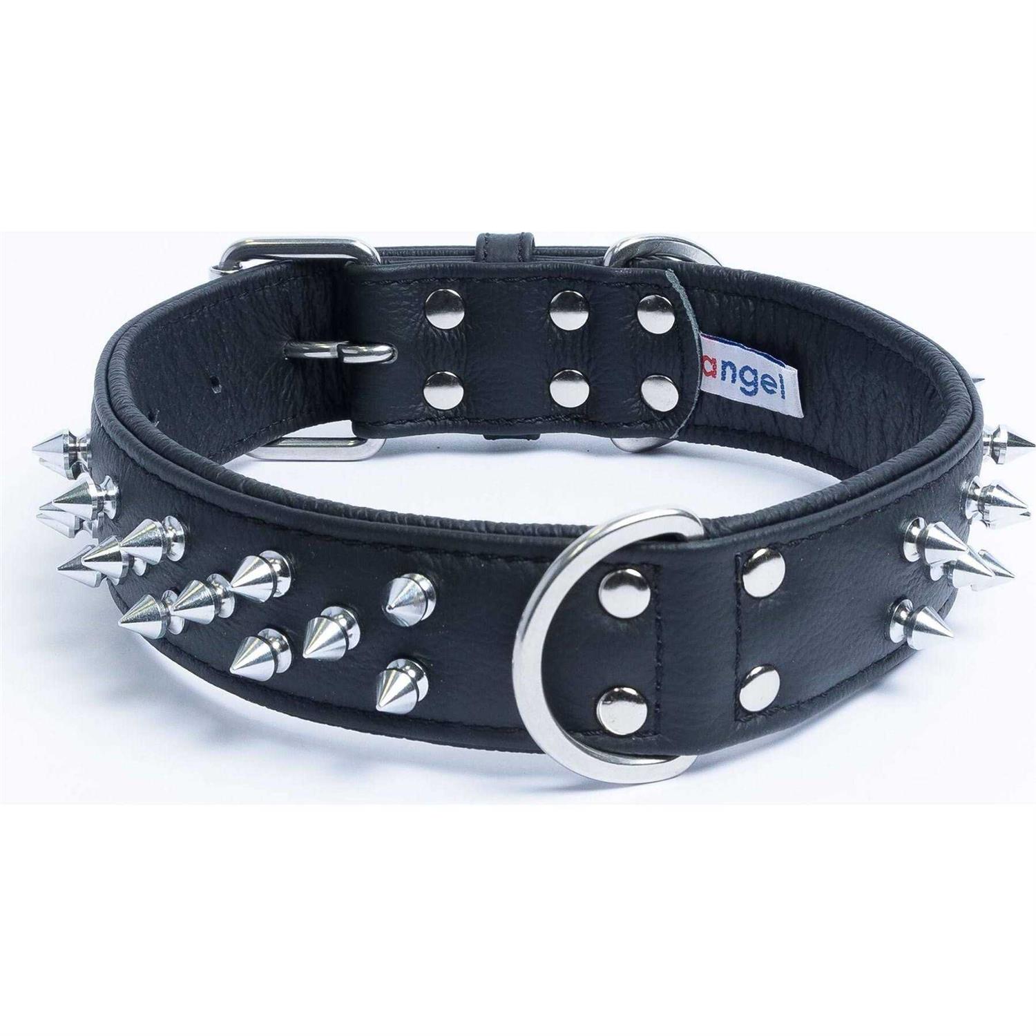 Amsterdam Dog Collar Spiked - Pet Supplies online store