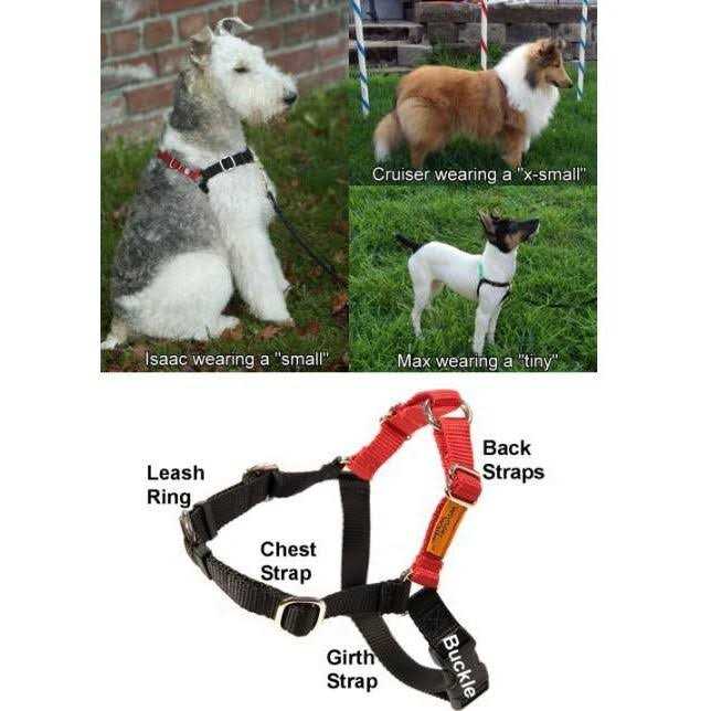 Wonder Walker Body Halter Dog Harness - Pet Supplies online store