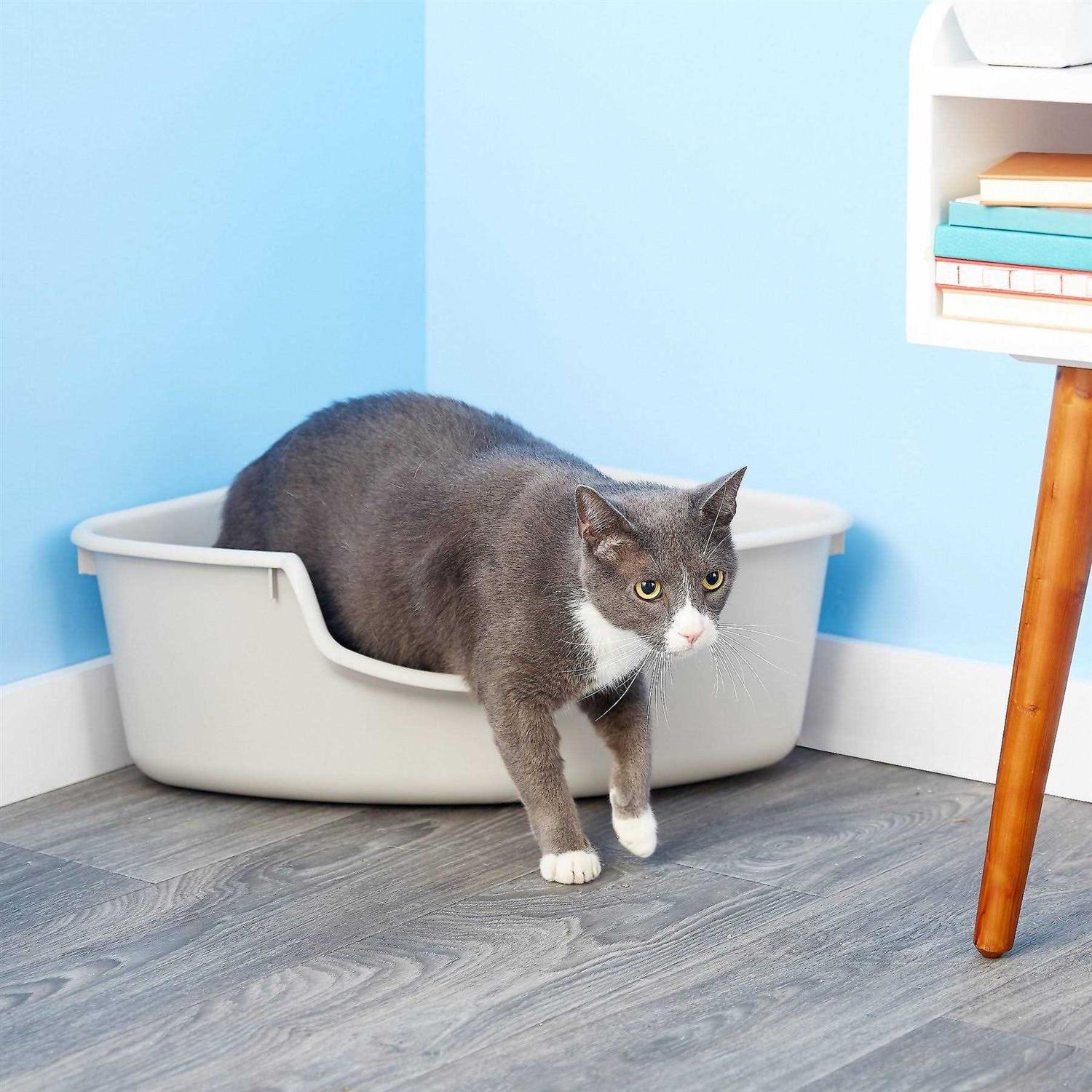 SmartCat Corner Litter Box - Pet Supplies online store