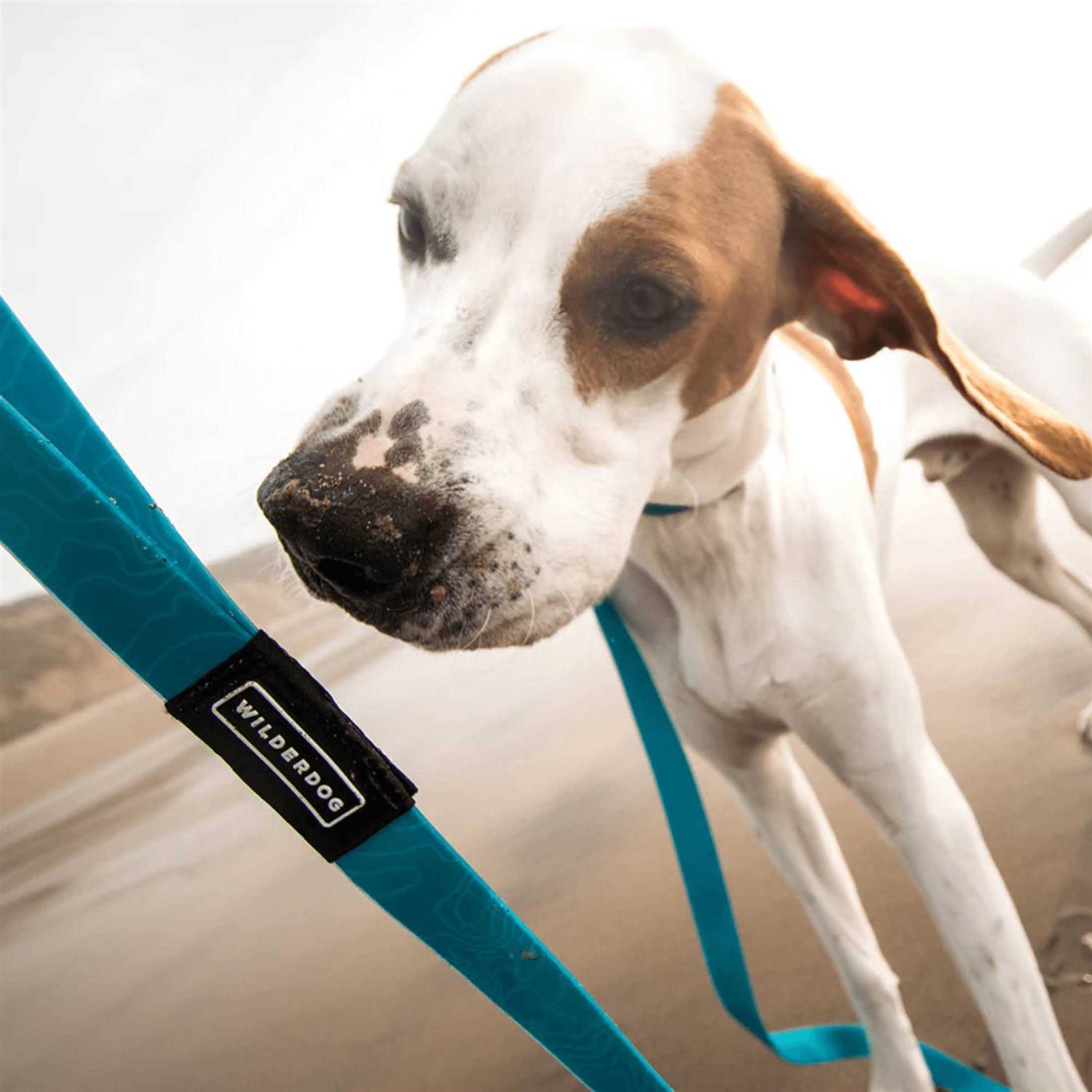 Wilderdog Waterproof Leash - Pet Supplies online store