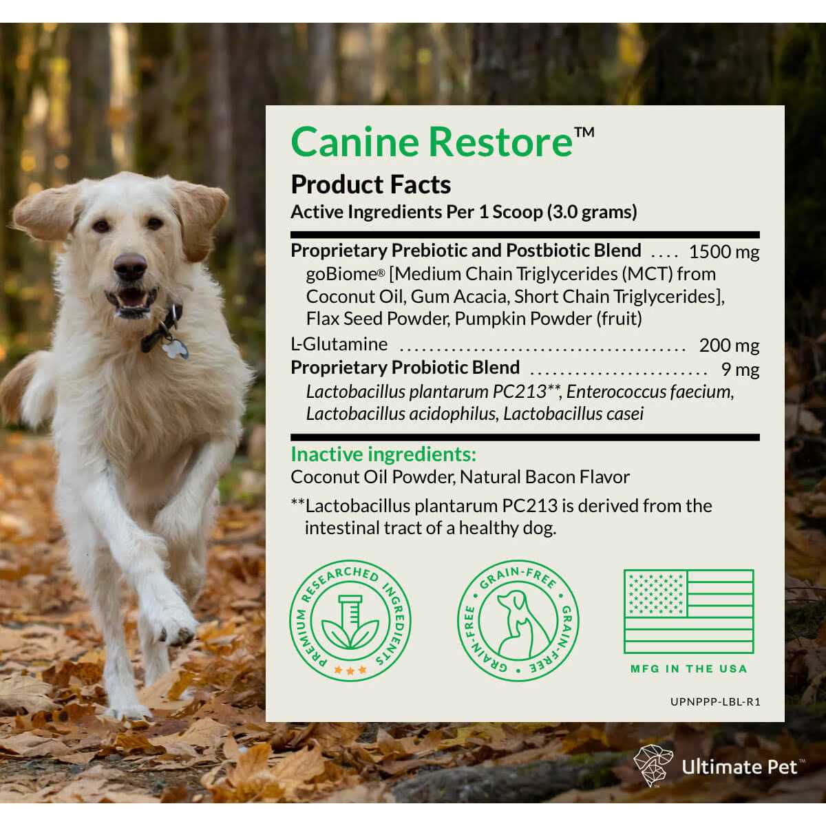Ultimate Pet Nutrition Canine Restore Pre, Pro, and Postbiotic Digestive Support Powder for Dogs 3.17 oz - Pet Supplies online store