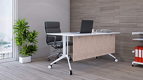 Modesty Desk PET Privacy Screen Acoustic Sound Absorbing Panel Ideal for Reception, Student Table or Office Cubicles Workstations, 24