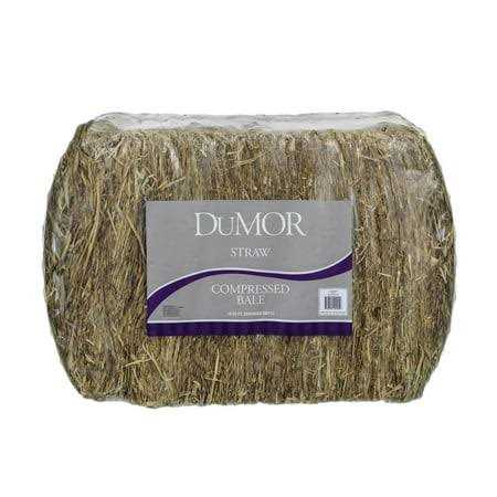 Dumor 2-String Wheat Straw Compressed Bale Pet Bedding - Pet Supplies online store