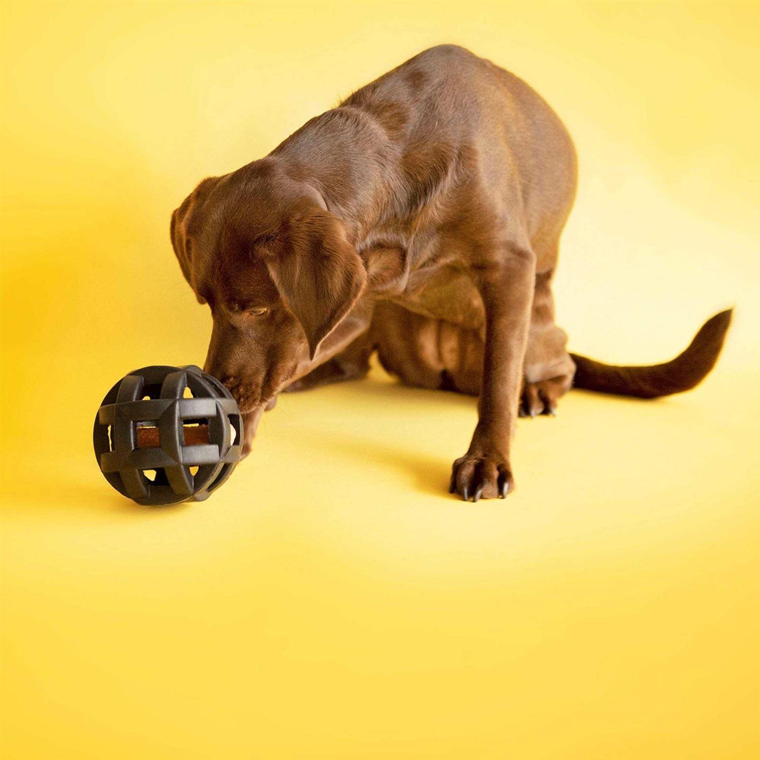 JW Pet Hol-ee Roller X Extreme Dog Toy - Pet Supplies online store