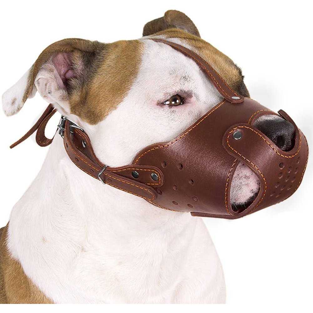 CollarDirect Dog Muzzle Pitbull Amstaff Basket Genuine Leather Staffordshire Terrier - Pet Supplies online store