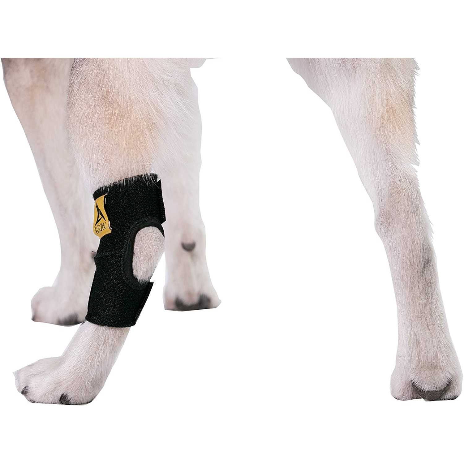 Agon Dog Canine Rear Hock Joint Brace Compression Wrap With Straps Dog For Back Leg Protects Wounds. Heals Prevents Injuries and Sprains Helps - Pet Supplies online store