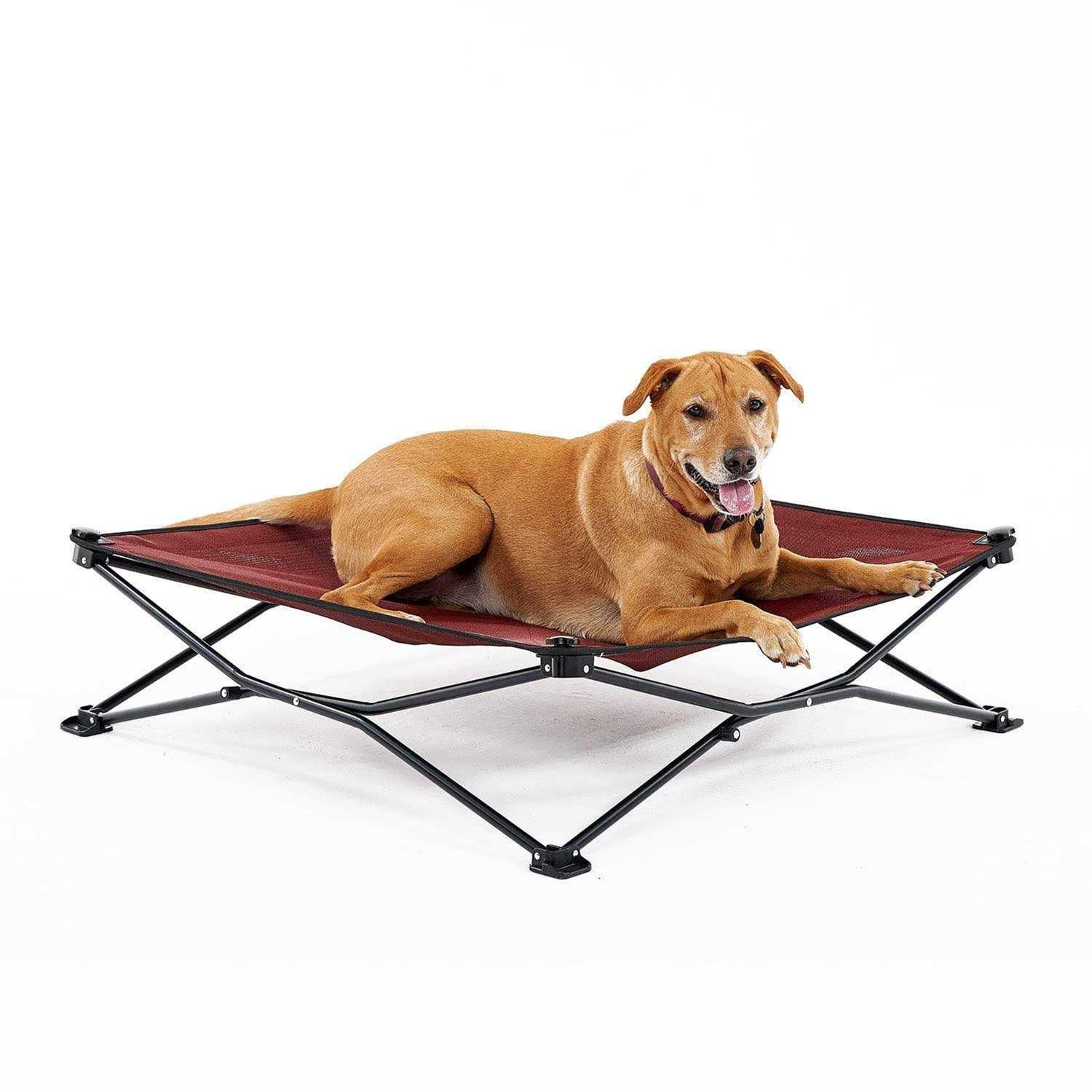 Coolaroo On-the-Go Elevated Pet Bed - Pet Supplies online store