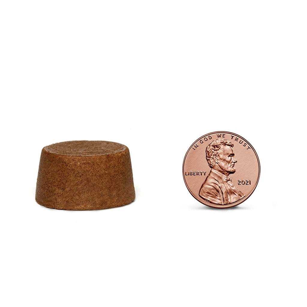 Bravecto Chew for Dogs - Pet Supplies online store