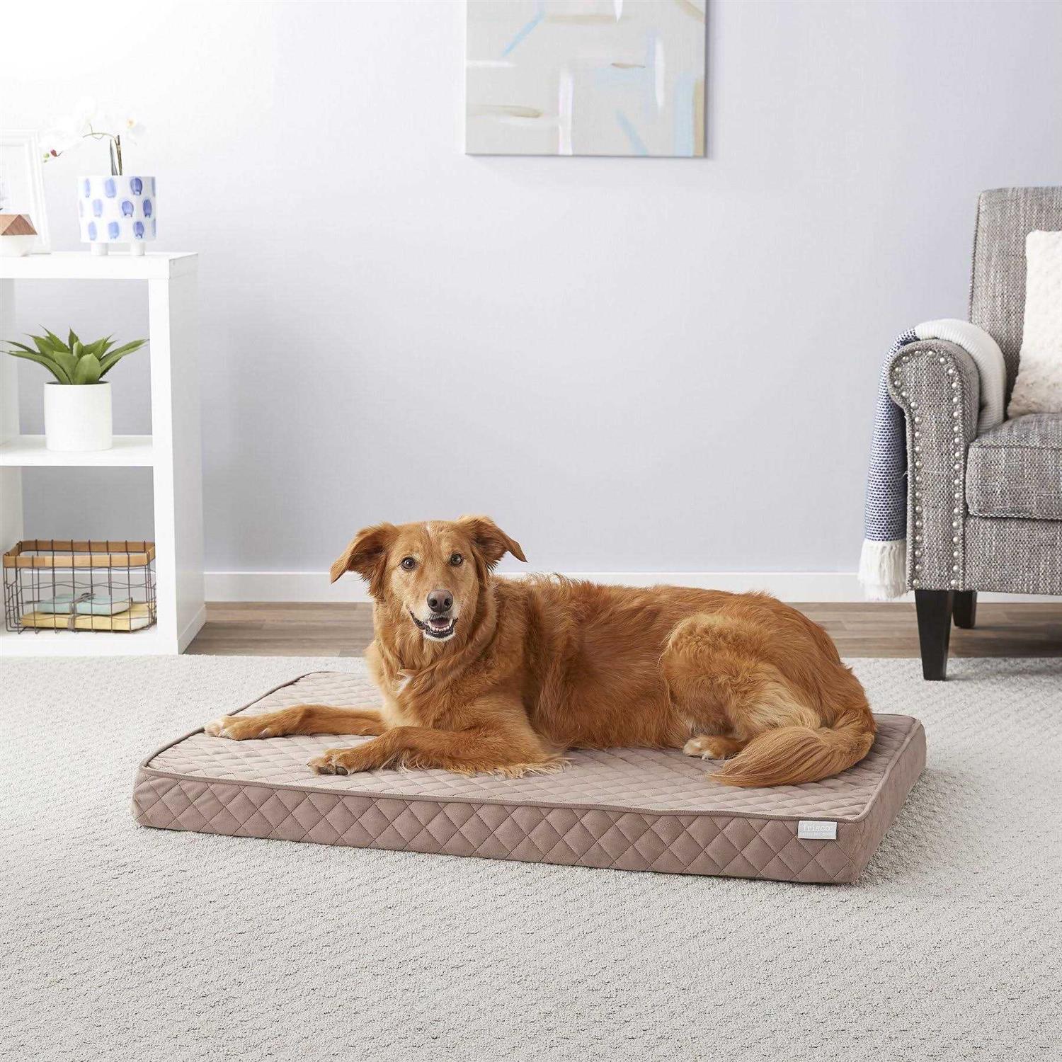 Frisco Quilted Orthopedic Pillow Cat Dog Bed w/Removable COVER - Pet Supplies online store