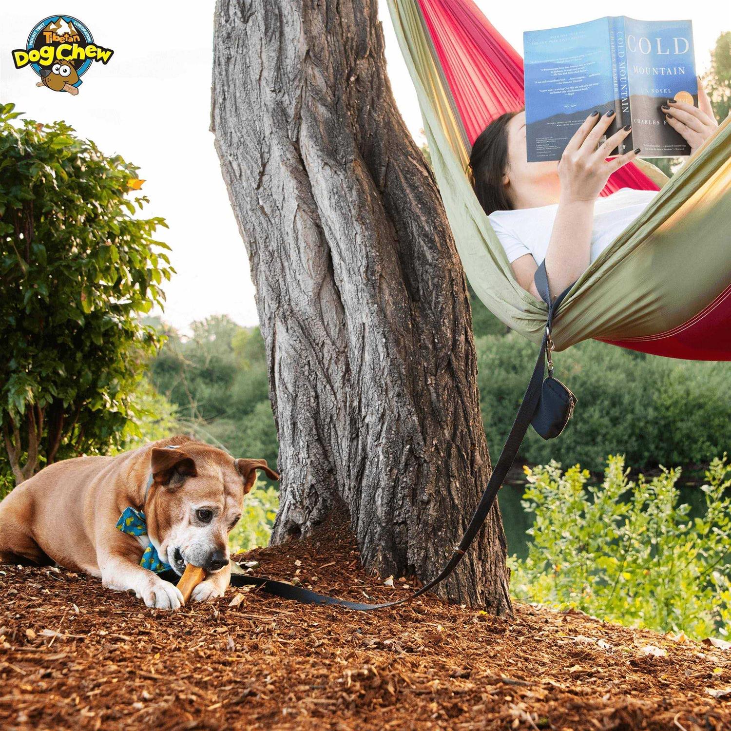 Tibetan Dog Chew All Natural Himalayan Yak cheese Long Lasting Treats for Aggressive chewers Keeps Dogs Busy and Entertained I - Pet Supplies online store