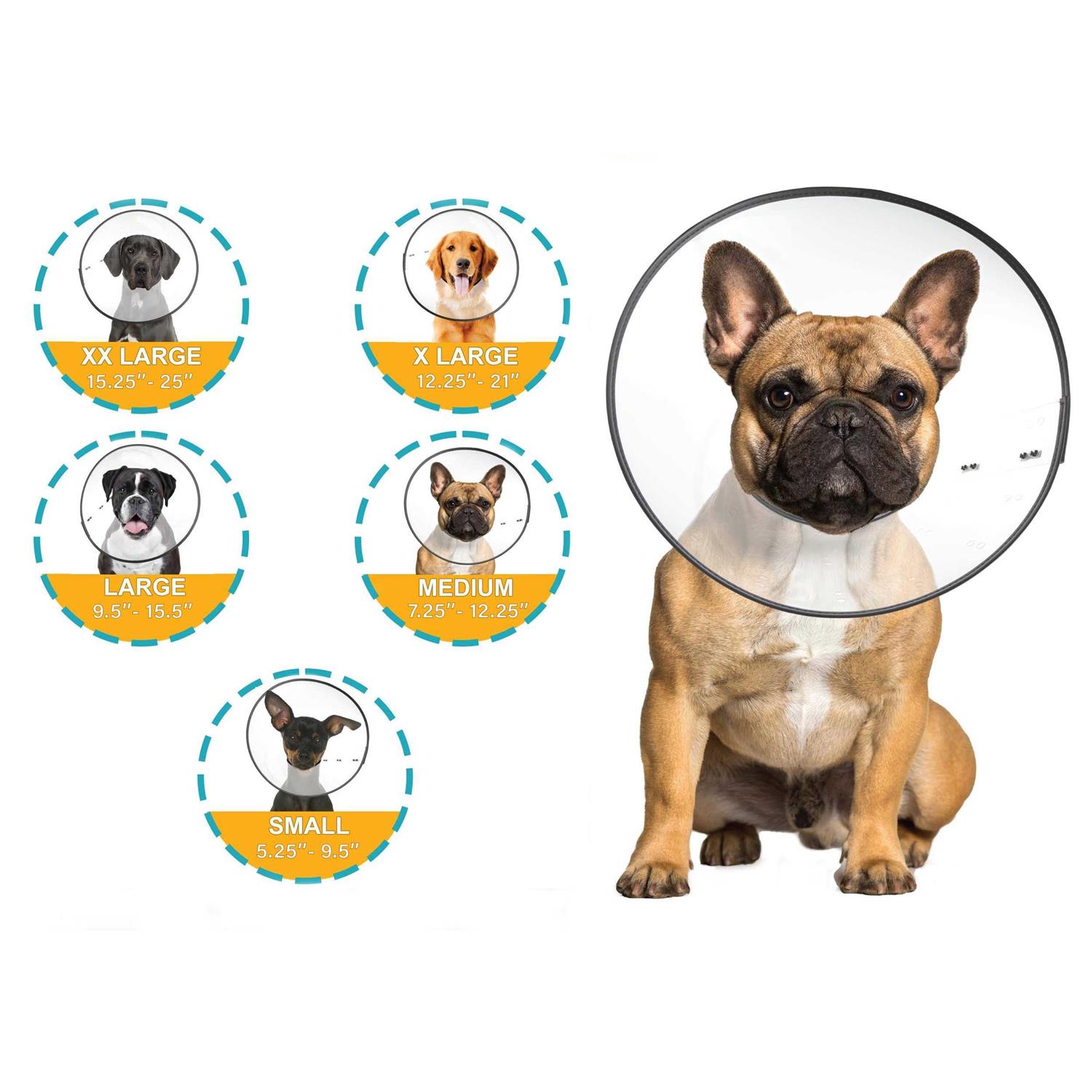 ZenPet E Clear Recovery Collar - Pet Supplies online store