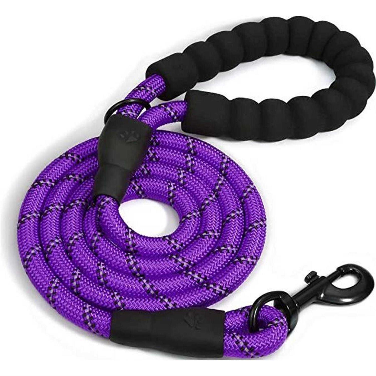 Doggy Tales Braided Dog Leash - Pet Supplies online store