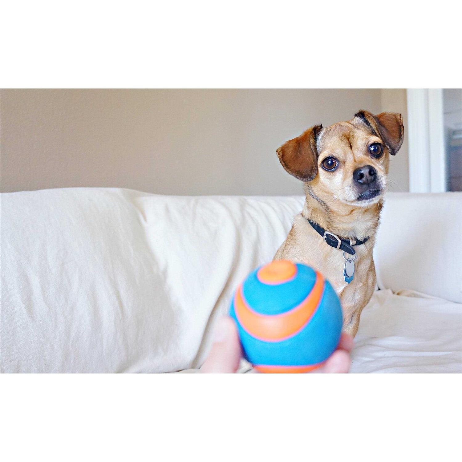 CHUCKIT! ULTRA BALL - Pet Supplies online store