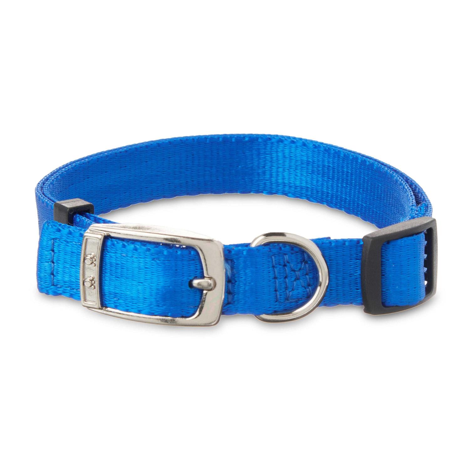 Vibrant Life Solid Dog Collar with Metal Buckle - Pet Supplies online store