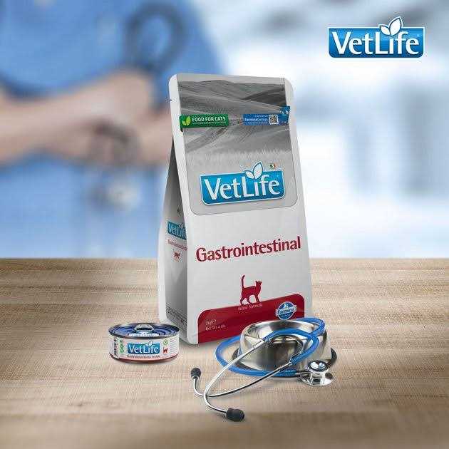 Farmina Vet Life feline Gastrointestinal - Pet Supplies online store