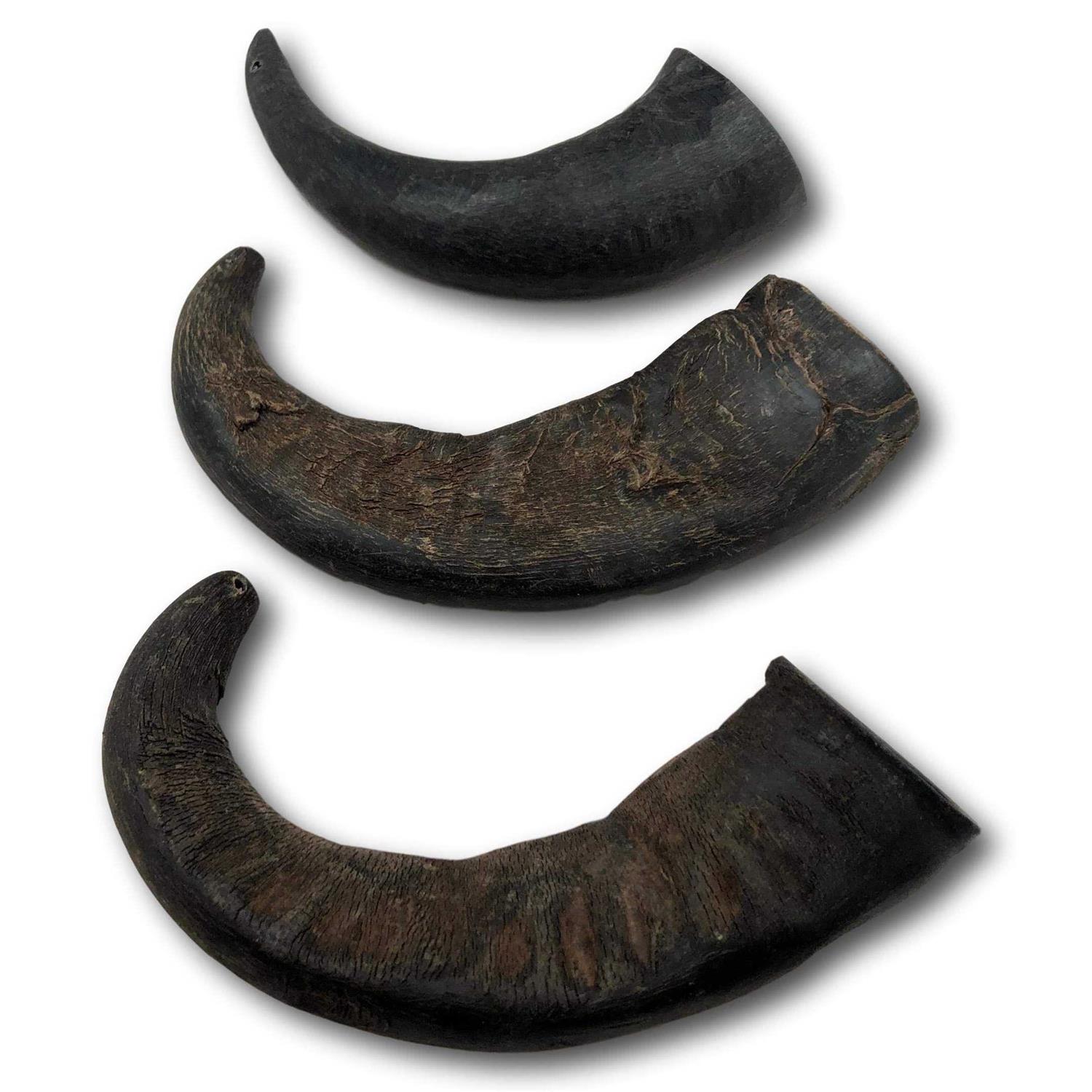 Top Dog Chews Natural Water Buffalo Horns Dog Treats - Pet Supplies online store